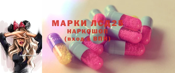 стафф Валдай