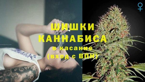spice Медвежьегорск