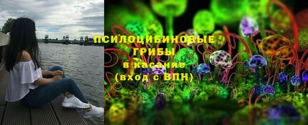 ПСИЛОЦИБИНОВЫЕ ГРИБЫ Магадан