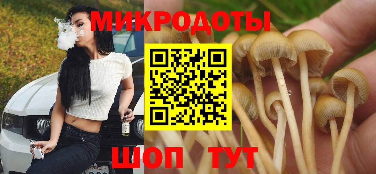 Галлюциногенные грибы Magic Shrooms  Псилоцибиновые грибы Psilocybe  Донецк 
