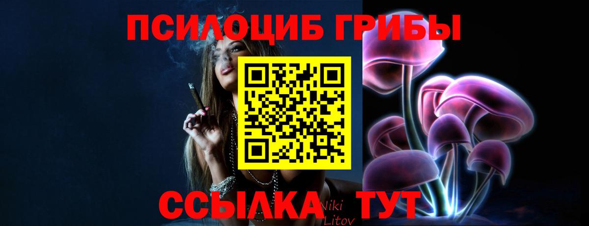 Галлюциногенные грибы Psilocybine cubensis  Псилоцибиновые грибы мицелий  хочу   Донецк  Вход с VPN 
