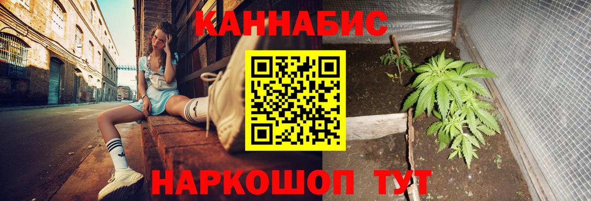 Каннабис OG Kush Донецк
